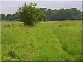 Footpath off Bramshot Lane near Fleet