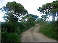 Track near Hobbacott