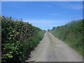 Track near Lower Stursdon