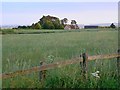 SU0177 : Farmland, near Catcomb Farm, Catcomb by Brian Robert Marshall