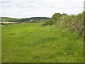 Pasture near Retallack