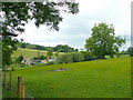 Pasture east of Cockbury Butts