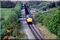 Coal for Swansea Burrow sidings