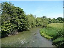 SO5440 : River Lugg - downstream by Jonathan Billinger