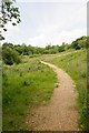 Path winding up hill in Claylands Local Nature Reserve