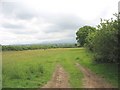 Pasture land with standing stone