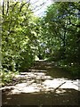 Dappled sunlight, Bramley Fall Park