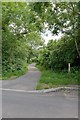 Footpath from Albany Road to Siskin Close