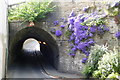 Kildwick aqueduct in bloom