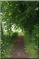 Straight bridleway