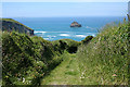 Tintagel: path to Trebarwith Strand