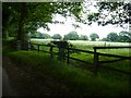 Footpath across Hollyfast lane