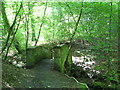 (Another) footbridge over Halgut Burn