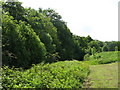 Field and woodland west of Halgut Burn