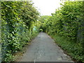 Cycleway behind Daneshill Industrial Estate