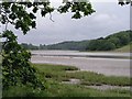 West Cleddau from Little Milford towards Haverfordwest