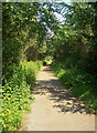 SS8683 : Cycleway/Path at Parc Slip Nature Reserve by eswales