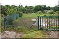 Fenced off Section of the Carnon River Valley