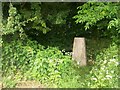 Roadside Triangulation Pillar near Clowne