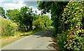 The Fruitvalley Road near Ballyward