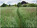 Footpath, Dinton