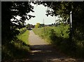 Public footpath to Chelmer Village from Sandford Mill Road