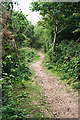 Bridleway through Cusveorth Coombe