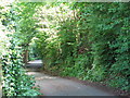 Track to Wydon Burn Reservoir