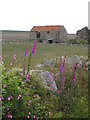 Derelict farm buildings on Bosullow Common