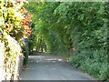 Mid section of Mill Lay Lane, Llantwit Major