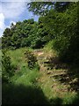 Nature trail on the disused railway