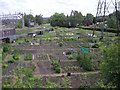 Allotments by the junction