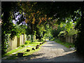 Country lane at Alfriston, East Sussex