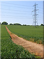 Pylon and bridleway above Broadmayne