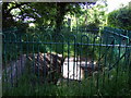 Baptistry, Bwlchmawr