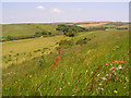 Downland, Poxwell