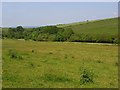 Farmland, Poxwell