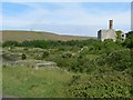 East  Aberthaw Lagoon