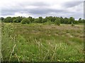 Garryduff Townland