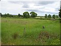 Garryduff Townland