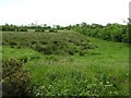 Burnquarter Townland