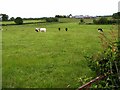 Cabragh Townland