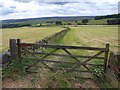 Arable land turns to moor from Bents Road