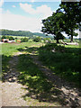 Footpath towards Chase End Hill