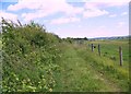 Bridleway to Sixpenny Handley