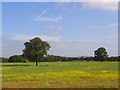 Farmland, Hurst