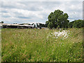 Silos at Blackford Mill Farm