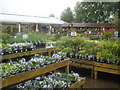 Evesham Garden Centre