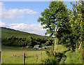 France Bottom, Alfriston, East Sussex