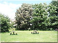 Picnic area within Felpham Recreation Ground